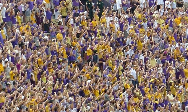A crowd of sports fans in a stadium stands up wearing purple and gold