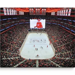 Stadium Vagabond Detroit Red Wings Little Caesars Arena