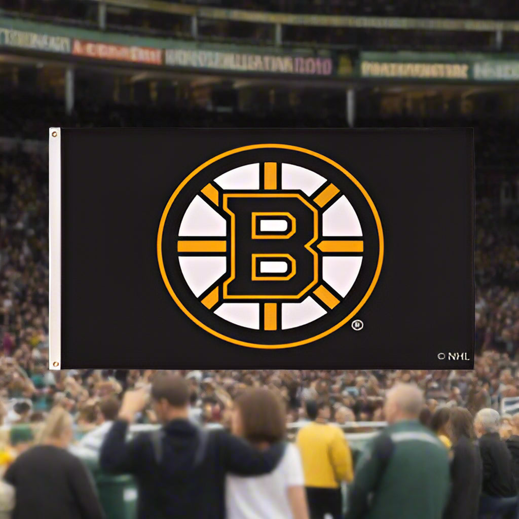 Boston Bruins flag