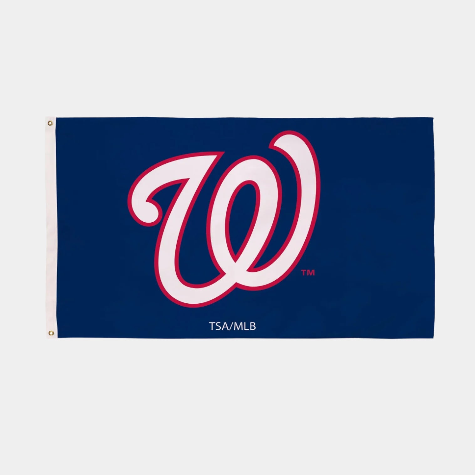 Washington Nationals flag