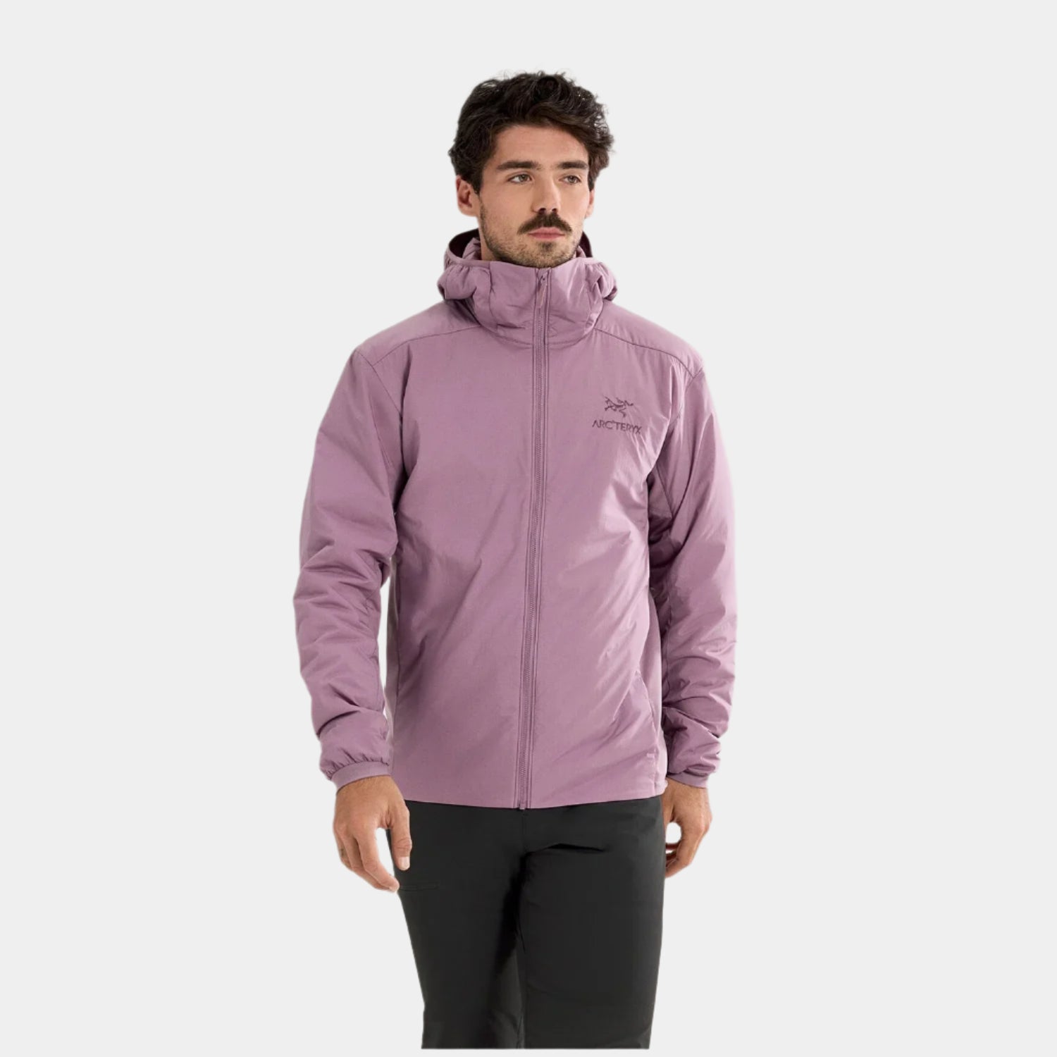 Arc'teryx Atom Hoodie - Men's interstellar