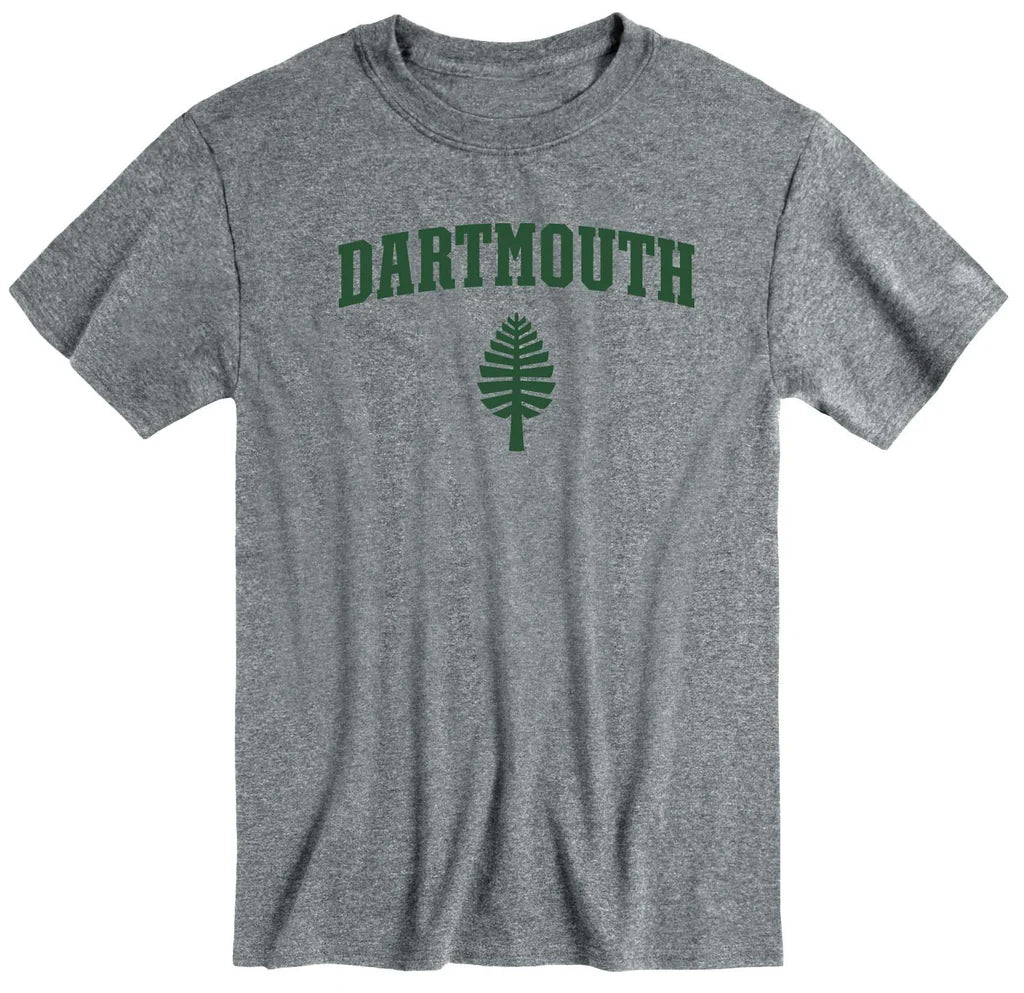 IvySport Dartmouth heritage t-shirt grey