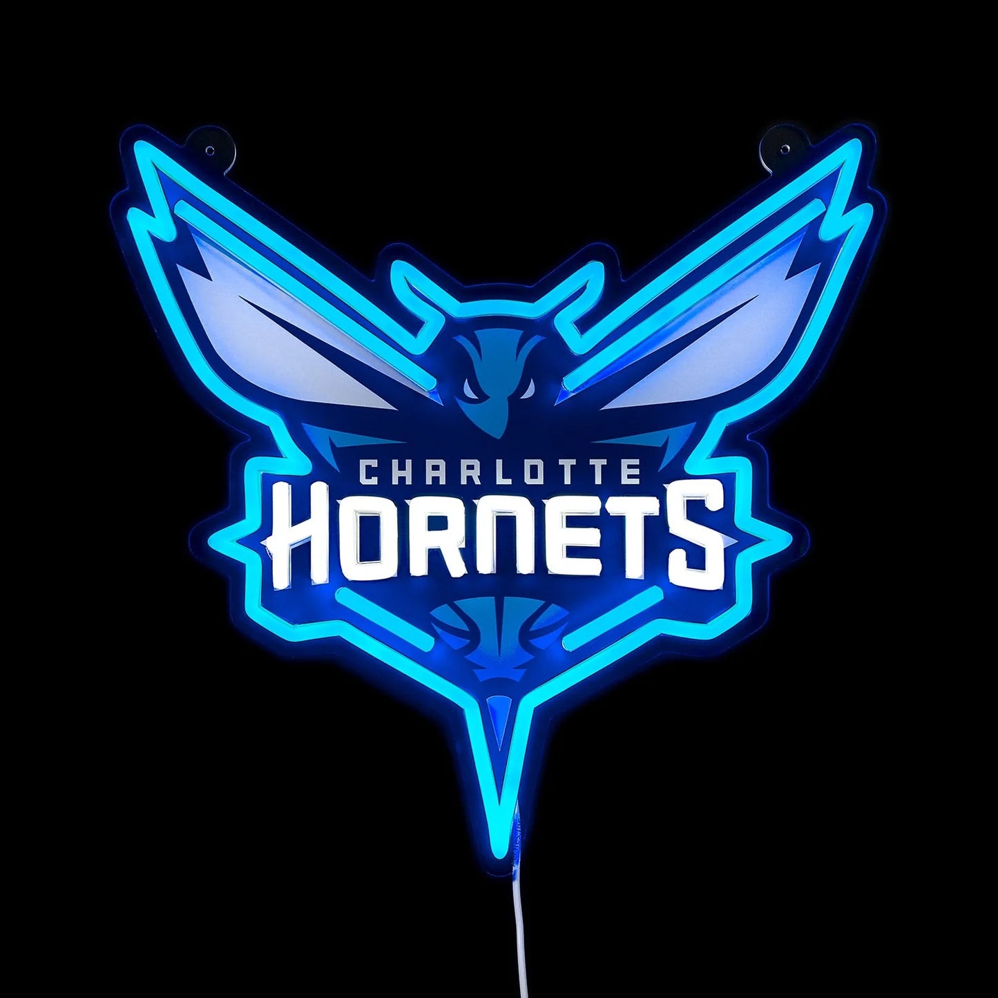 Saturday Neon LED neon sign Charlotte Hornets