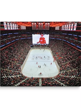 Stadium Vagabond Detroit Red Wings Little Caesars Arena